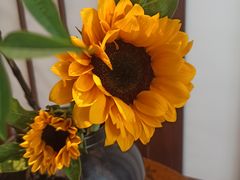 -如禾素食·下午茶·糖水