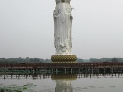 -白洋淀景区