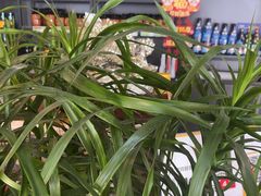 -遇见小院—虹鳟鱼•农家菜(怀柔店)