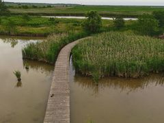 -盐城丹顶鹤湿地生态旅游区