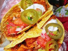 -Famous肥猫墨西哥音乐餐吧(五棵松华熙LIVE店)