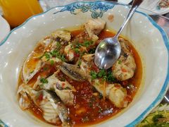 -东鸽皇(奥园·中环广场店)