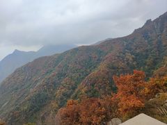 -白草畔自然风景区