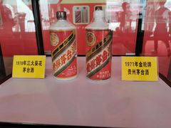 -南宁国际会展中心(会展东博文化旅游区)