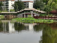 -西海子公园