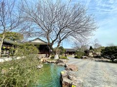 -尚湖风景区