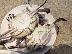 -初色海鲜自助(万丰路店)