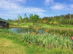 -上海长兴岛郊野公园