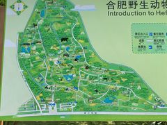 -合肥野生动物园