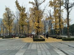 -百林公园-两江幸福广场