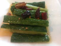 酸辣黄瓜-明城五号烤鸭坊(建国门店)