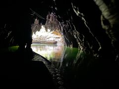 -怀托摩萤火虫洞