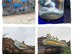 -横店影视城梦幻谷园区