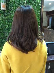 -红人馆造型十添