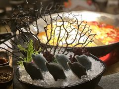 -湊湊火锅·茶憩(打浦桥日月光店)