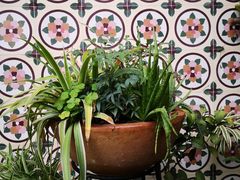 -时光花园(白鹭洲店)