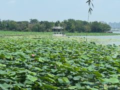 -云龙湖旅游景区