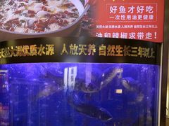 -潇湘码头·鲜湘菜(清河店)