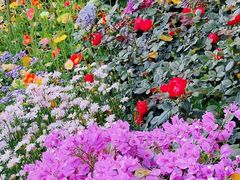 -人民公园(罗湖区)