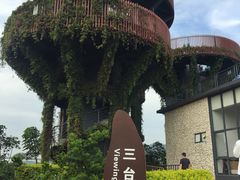 -芒洲湿地公园