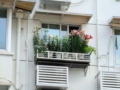 -大壶春(四川中路店)