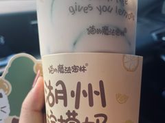 -猫的魔法密林(衣裳街店)