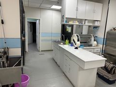 -中农国际动物医院24小时·猫科·骨科·急重症中心