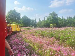 -歌斐颂巧克力小镇