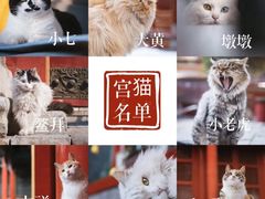 -故宫博物院(故宫)