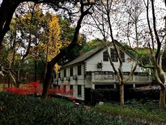 -徐家汇源景区-衡山公园