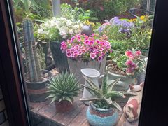 -IFIF 如果花園(宽厚里店)