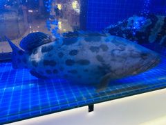 -东富酒家(龙湖西溪天街店)