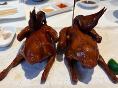-侨美食家·41年地道粤菜(珠江新城店)