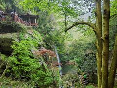 -莫干山风景区