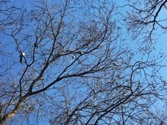 -三味书屋(复兴门内大街店)