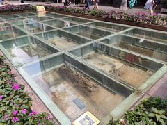 -北京路步行街-千年古道遗址