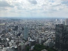 -东京都厅舍