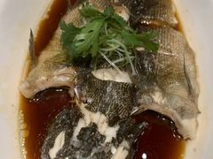 广式蒸笋壳鱼-丰收日(五角场店)
