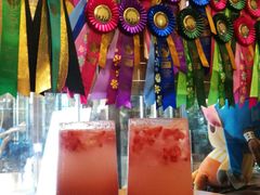 -more than meow吴止猫主题餐厅(承德 中船汇店)