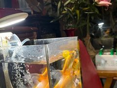 -上楼私房菜(院士路店)