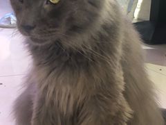 -平行世界·猫咖(首经贸店)