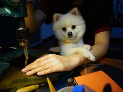 -零几体验diy皮具工作室(振业城店)