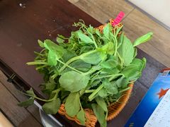 -墨脱石锅椰子鸡•香草鸭•东山羊(大东海店)