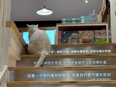 -猫的天空之城概念书店(苏州平江店)