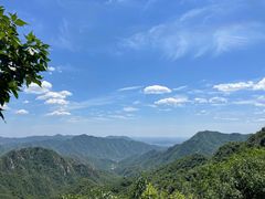 -大岭沟猕猴桃谷风景区