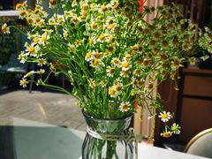 -后海16号·北京私房菜