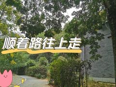 -青龙山国家森林公园