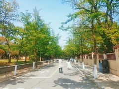 -八大关景区