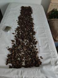 -姜美堂·蒸姜除湿の纤体美颜馆