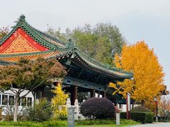 -阅江楼风景区